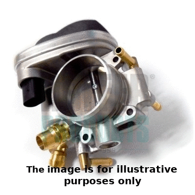 Throttle Body (7519310E)