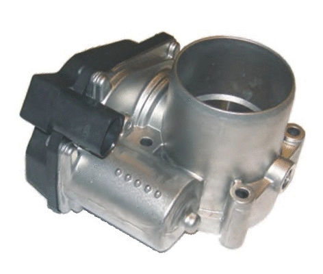 Throttle Body (7519050)