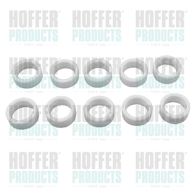 Repair Kit, injection nozzle (71242)