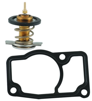 Thermostat, coolant (8192600IN)