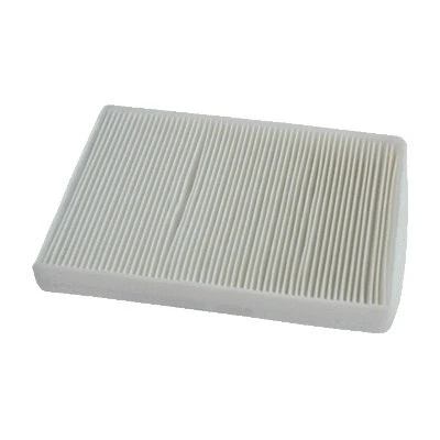 Filter, cabin air (17300)
