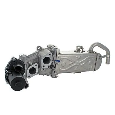 Cooler, exhaust gas recirculation (7518435R)