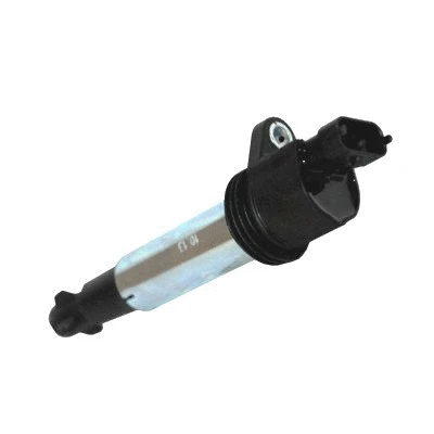 Ignition Coil (8010699)