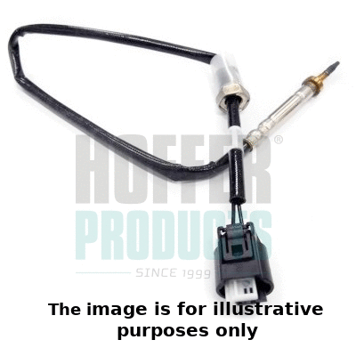 Sensor, exhaust gas temperature (7452026E)