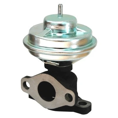 EGR Valve (7518133)