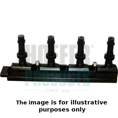 Ignition Coil (8010606E)