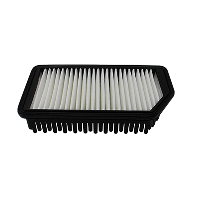 Air Filter (18549)