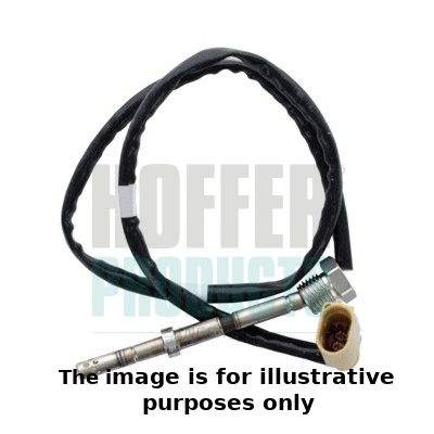 Sensor, exhaust gas temperature (7452307E)