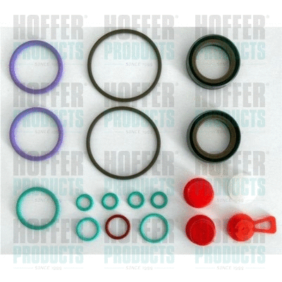 Repair Kit, fuel pump (9517)