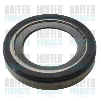 Shaft Seal, injector pump (98547)