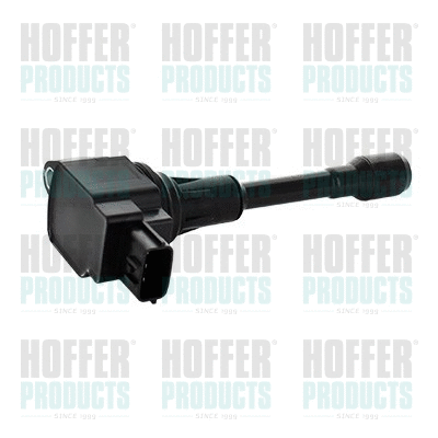Ignition Coil (8010795)