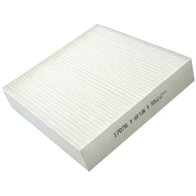 Filter, cabin air (17076)