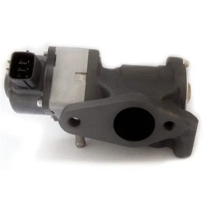 EGR Valve (7518269)