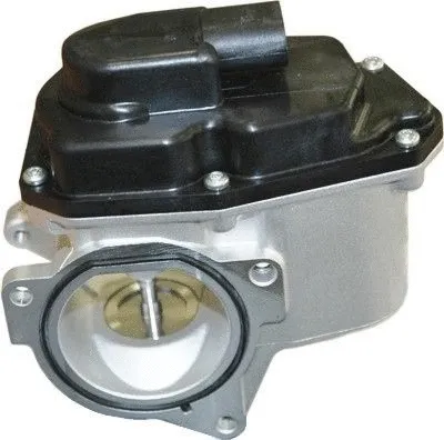 EGR Valve (7518087R)