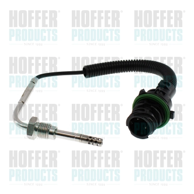 Sensor, exhaust gas temperature (7452654)