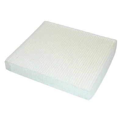 Filter, cabin air (17055)