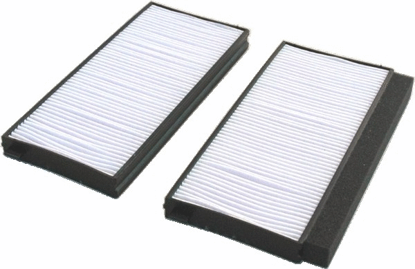 Filter, cabin air (17274F-X2)