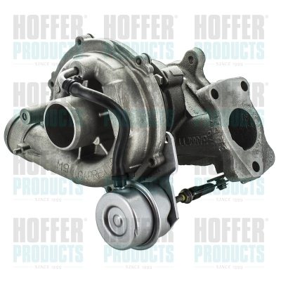 Charger, charging (supercharged/turbocharged) (6900109)