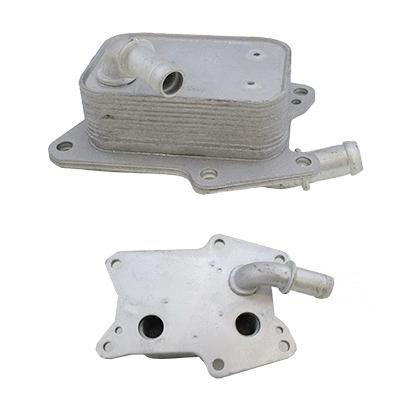 Oil Cooler, engine oil (8095256)
