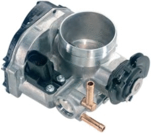 Throttle Body (7519017)