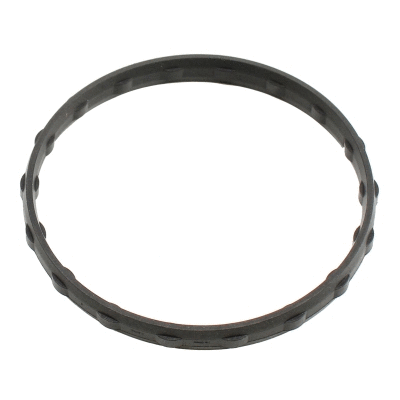 Seal, thermostat (01692)