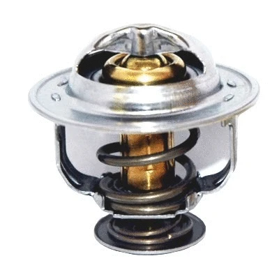 Thermostat, coolant (8192793)