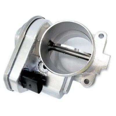 Throttle Body (7519234)