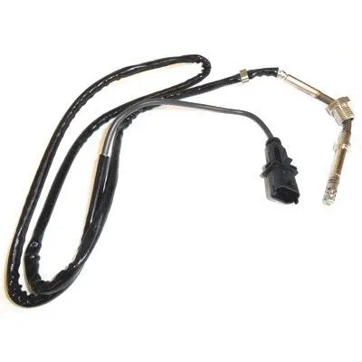 Sensor, exhaust gas temperature (7451946)