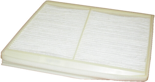 Filter, cabin air (17004F)
