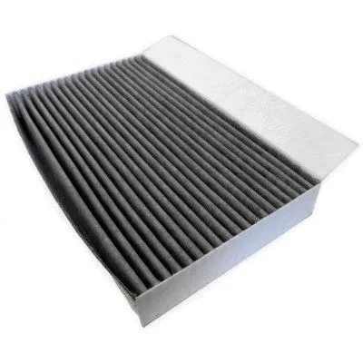 Filter, cabin air (17504K)