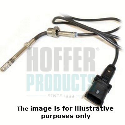 Sensor, exhaust gas temperature (7451910E)