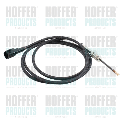 Sensor, exhaust gas temperature (7452627)