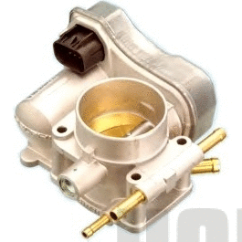 Throttle Body (7519032R)