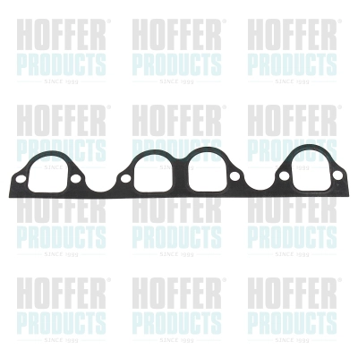Gasket, intake manifold (016162)
