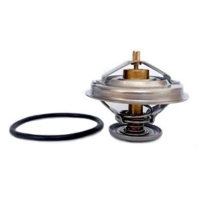 Thermostat, coolant (8192219)