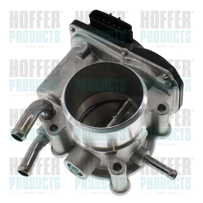 Throttle Body (7519677)
