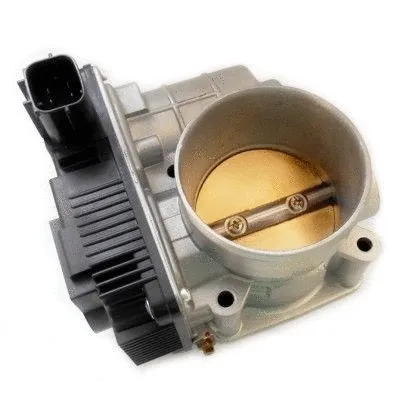 Throttle Body (7519237)