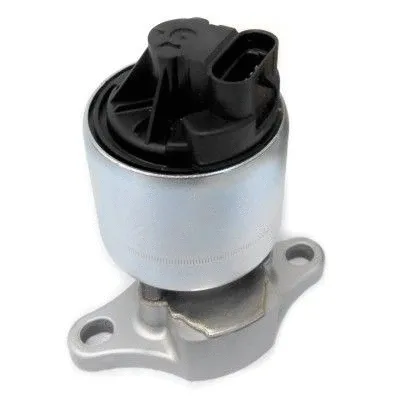 EGR Valve (7518263)