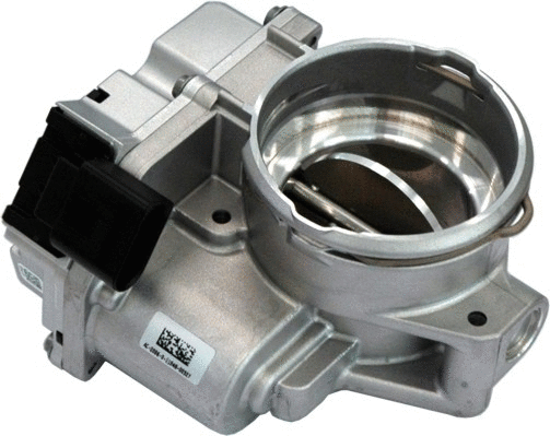 Throttle Body (7519071)