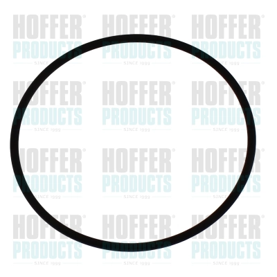 Rubber Ring (98810)