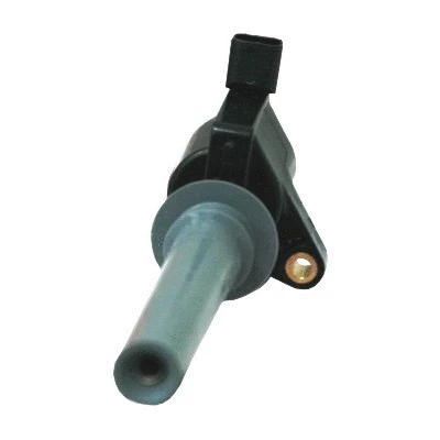 Ignition Coil (8010677)