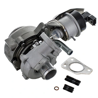 Charger, charging (supercharged/turbocharged) (6900375)