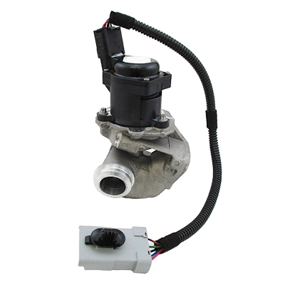 EGR Valve (7518081)