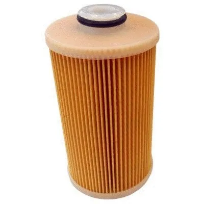 Fuel Filter (4986)