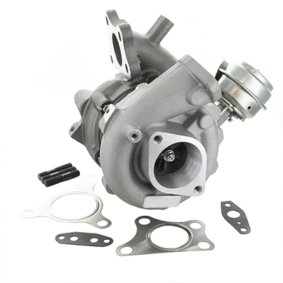 Charger, charging (supercharged/turbocharged) (6900259)