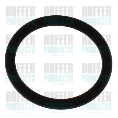 Seal Ring (98805)