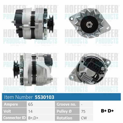 Alternator (H5530103)