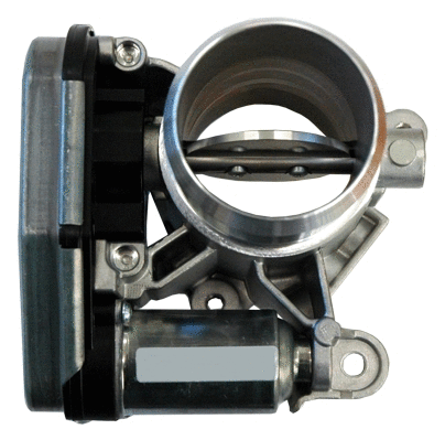 Throttle Body (7519123)