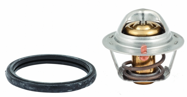 Thermostat, coolant (8192433)