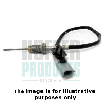 Sensor, exhaust gas temperature (7452134E)